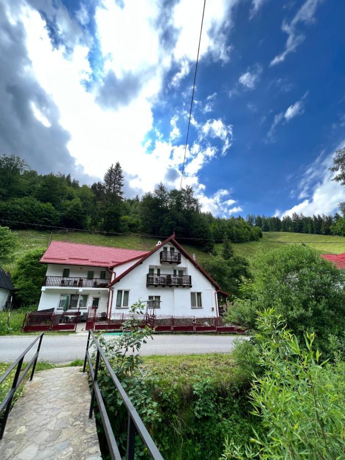 Căsuța de lângă pădure Moeciu De Sus Exterior foto
