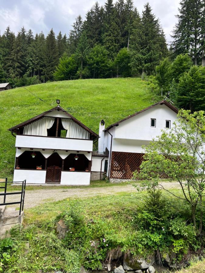 Căsuța de lângă pădure Moeciu De Sus Exterior foto