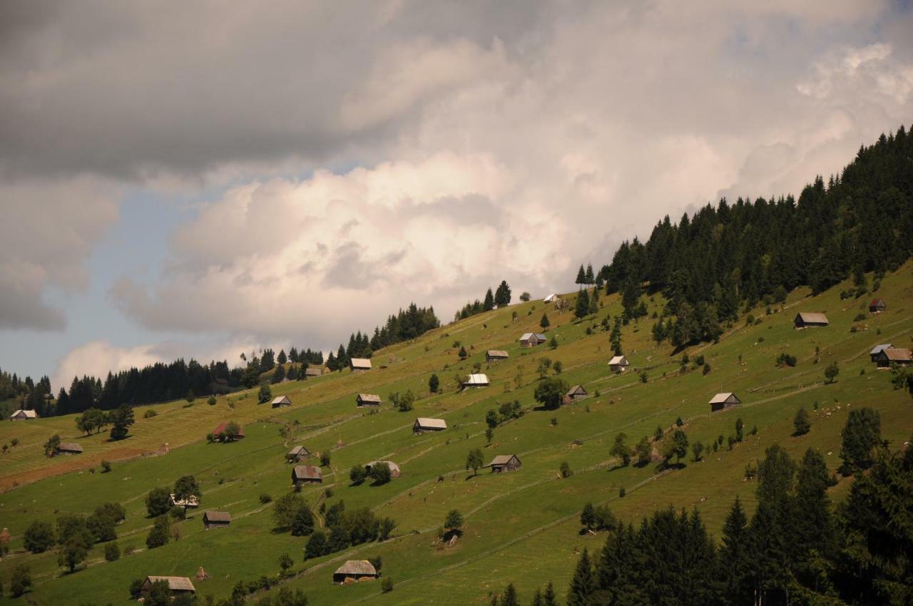 Căsuța de lângă pădure Moeciu De Sus Exterior foto