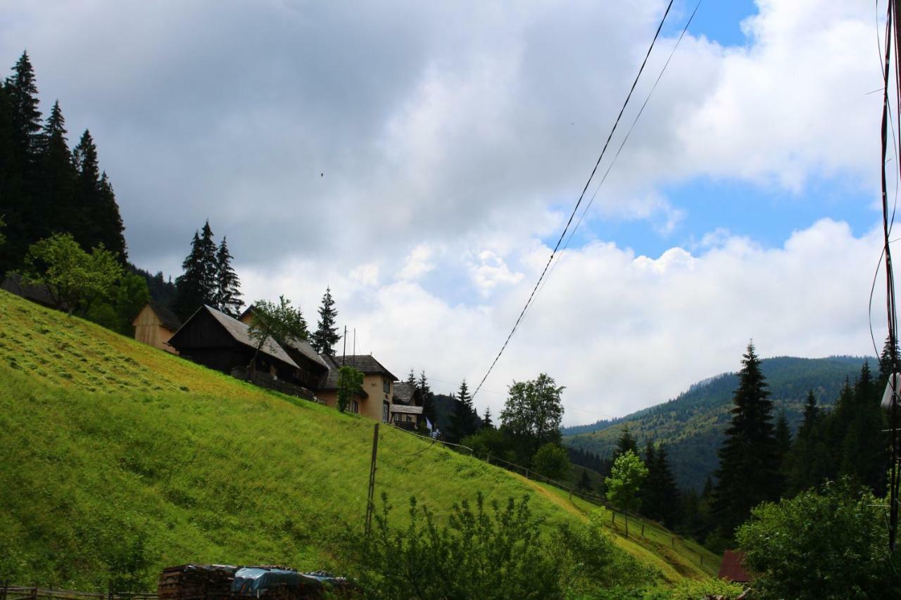 Căsuța de lângă pădure Moeciu De Sus Exterior foto