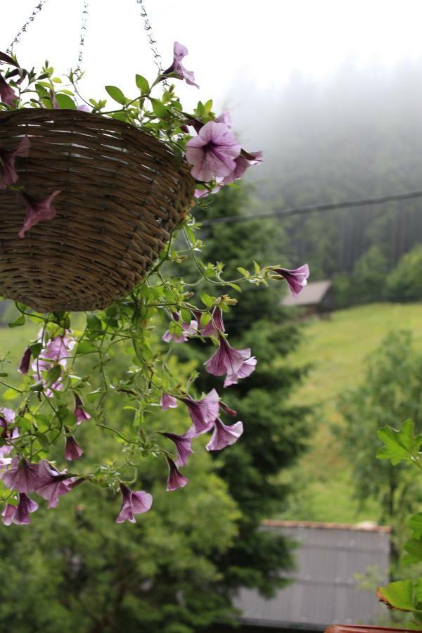 Căsuța de lângă pădure Moeciu De Sus Exterior foto